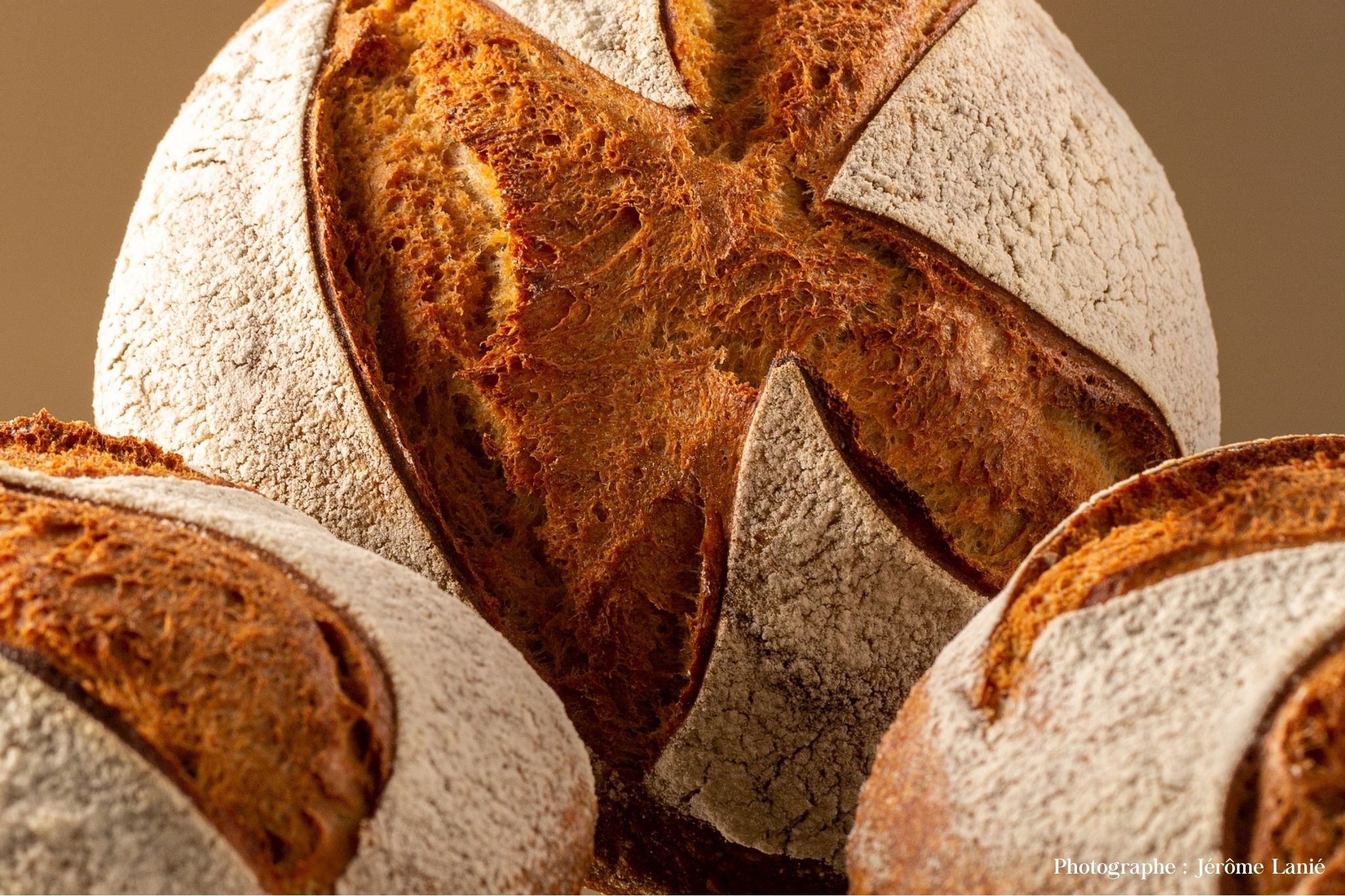 Formation boulangerie-pâtisserie en Touraine et en Anjou en 2026