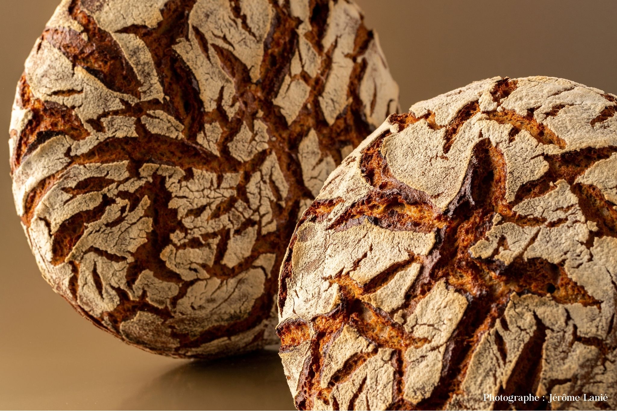 Photographie d'une tourte de seigle, réalisée par Franck Fortier